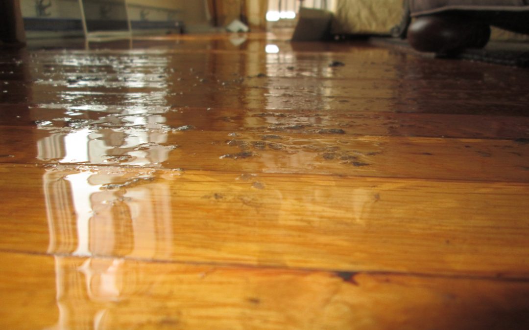 water damaged wood flooring