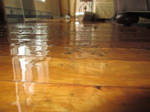 water damaged wood flooring